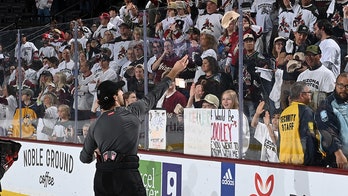 Coyotes give Arizona fans one final show with win over playoff-bound Oilers