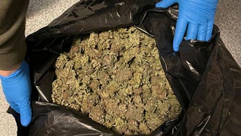 Illegal marijuana grow operation uncovered in Maine, marking latest bust in multistate crackdown