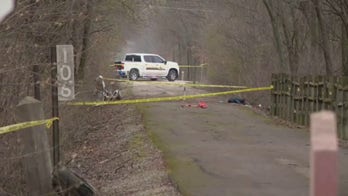 Two people enjoying stroll in Indiana injured after small plane crashes to the ground: 'That's a bad day'