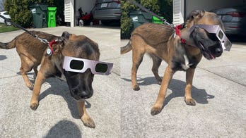 Solar eclipse 2024: Photos of good boys and girls in their protective eyewear