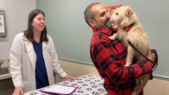 San Diego man reunited with dog missing since summer — in Michigan