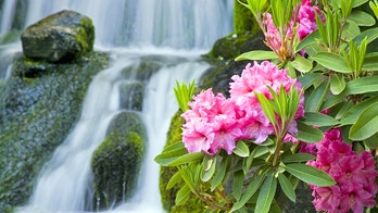 Springtime travel: 5 flower gardens across 5 time zones showcasing American beauty