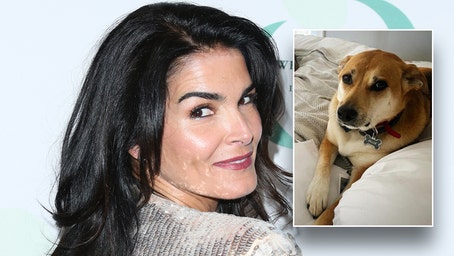 'Rizzoli & Isles' star sues Instacart driver who allegedly shot and killed her dog
