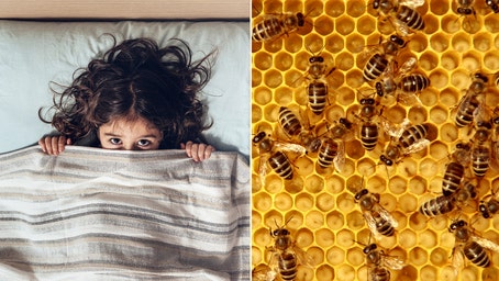 Child says she hears 'monsters' in the wall, turns out to be 50K buzzing bees