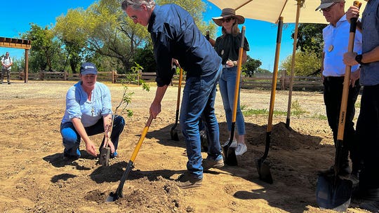 California announces first new state park in a decade, set to open this summer