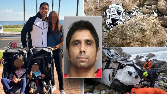 California doctor was suffering delusions when he drove Tesla off cliff with family inside: psychologist