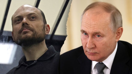 Lawmakers call for release of Putin’s ‘political prisoner number one'