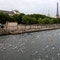 Paris mayor confident River Seine's water quality good enough for Olympic swimming