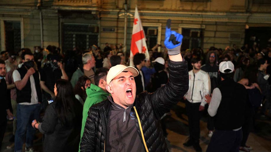 Georgia protesters