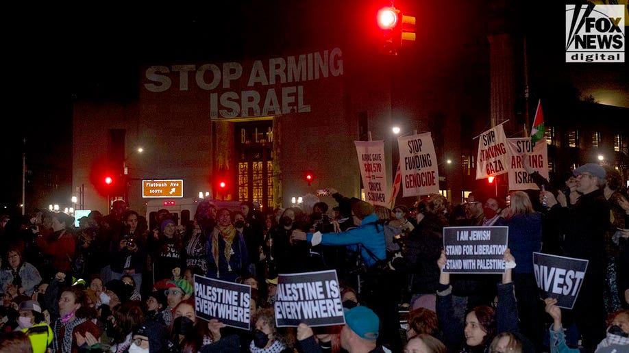 Large group of protesters