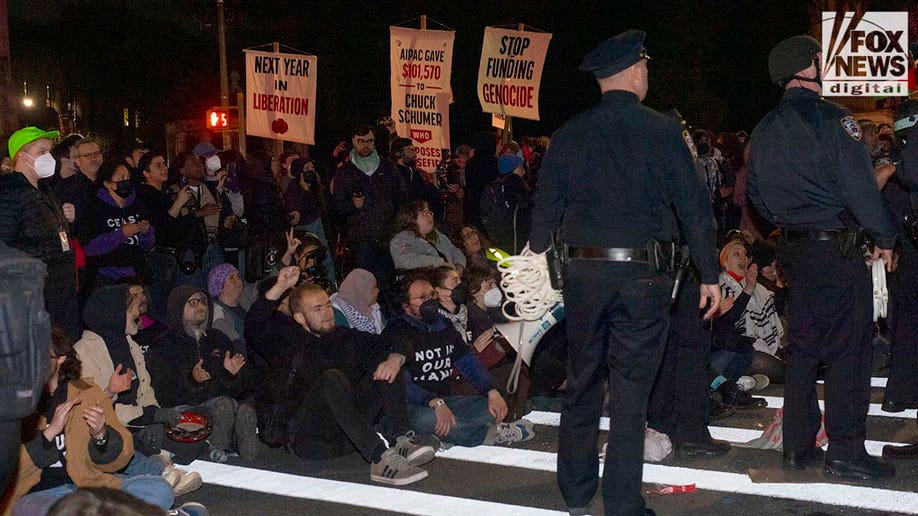 Protest outside Schumer's Brooklyn house at night