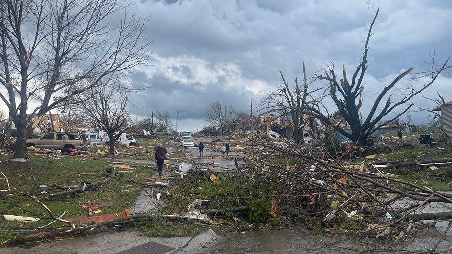 Downed trees