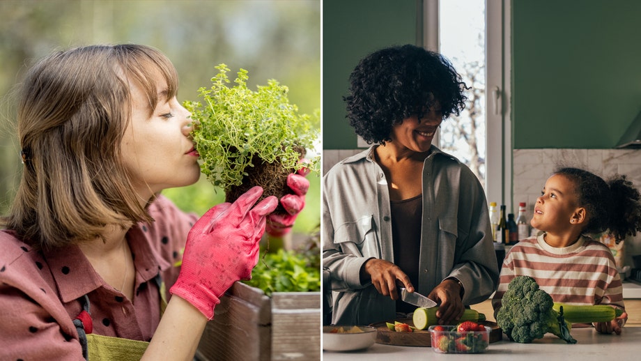 5 eco-friendly Mother’s Day gifts to grab now on Amazon, including an indoor herb garden and more