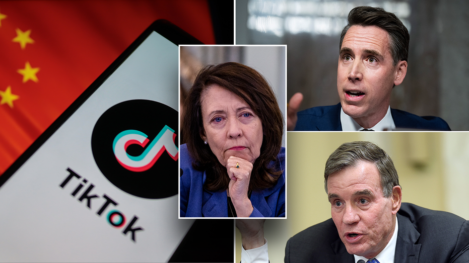 Bipartisan senators push back as key Dem signals doom for TikTok bill