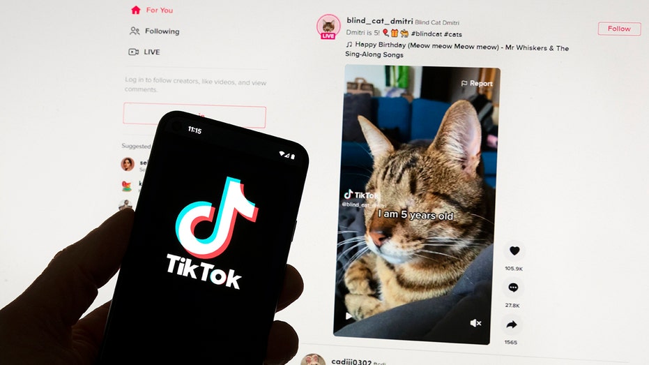 European Union has requested details surrounding TikTok’s newest app that has quietly been released in the EU