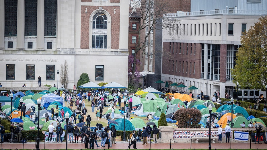 Iran picks sides as anti-Israel protests rage across US universities: ‘Deeply worried and disgusted’