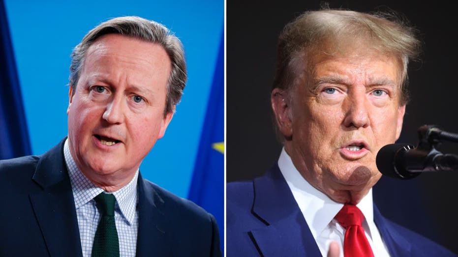 UK’s Cameron meets Trump ahead of push for more US Ukraine funding