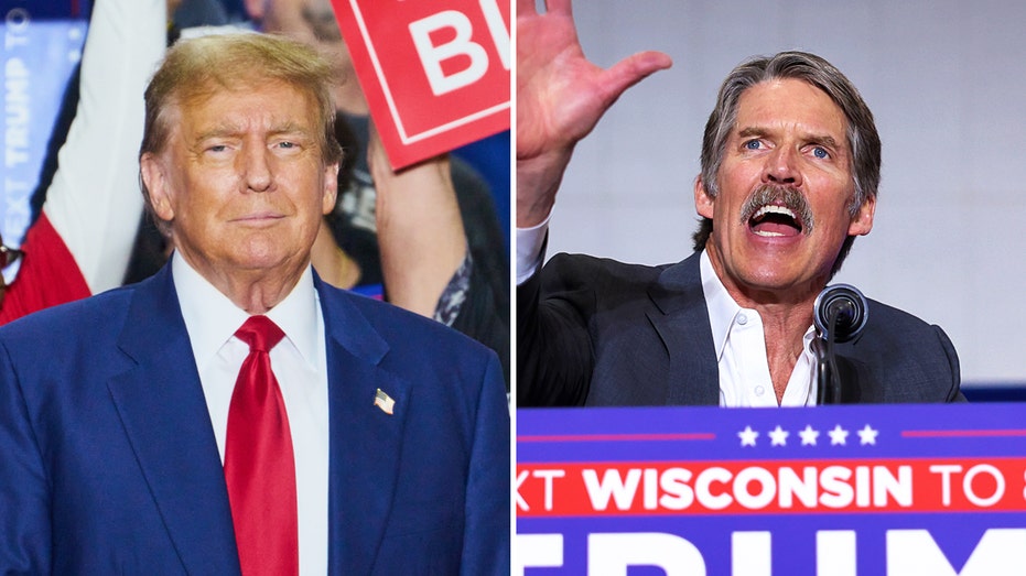Trump throws support behind Republican businessman looking to flip Wisconsin Senate seat: 'Go out and win'