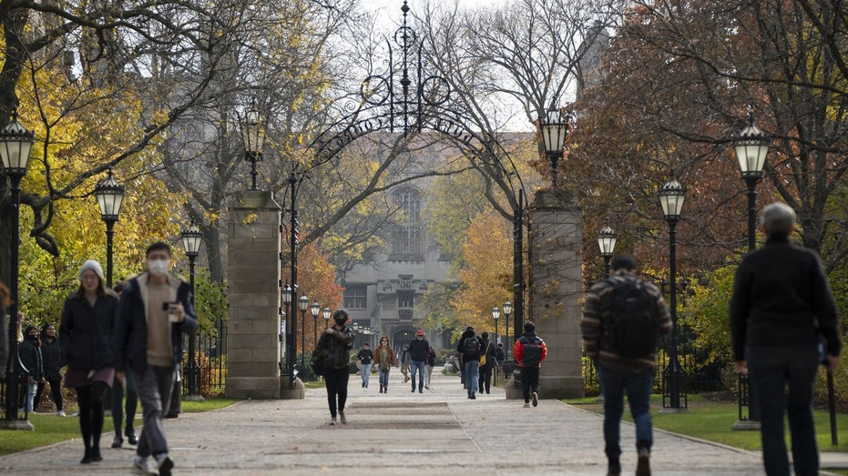 Female University of Chicago student disarms masked man who tried to rob her on walk home from class: report