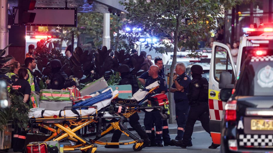 Suspect among six dead in Australian stabbing spree at busy shopping center: police