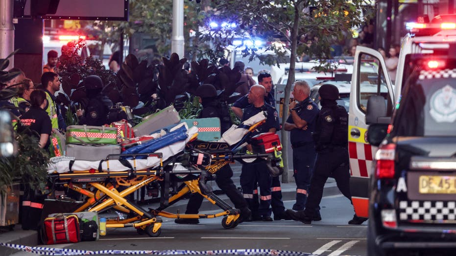 Suspect among six dead in Australian stabbing spree at busy shopping center: police