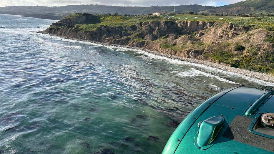 Pilot and dog swim to shore in California after small plane crashes off coast, authorities say