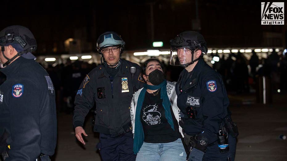 NYU anti-Israel protesters form human chain as police move in for arrests