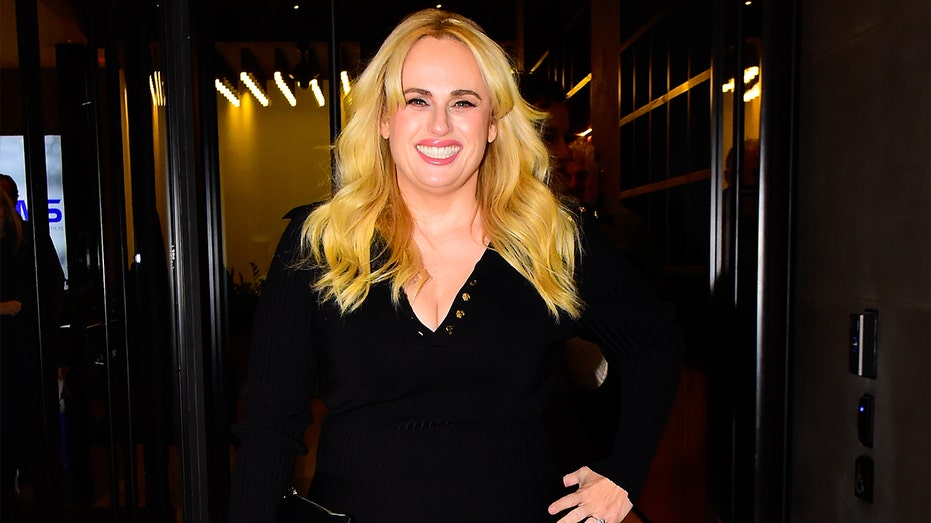 Rebel Wilson claims royal family member invited her to drug-filled ‘orgy’ at tech billionaire’s home
