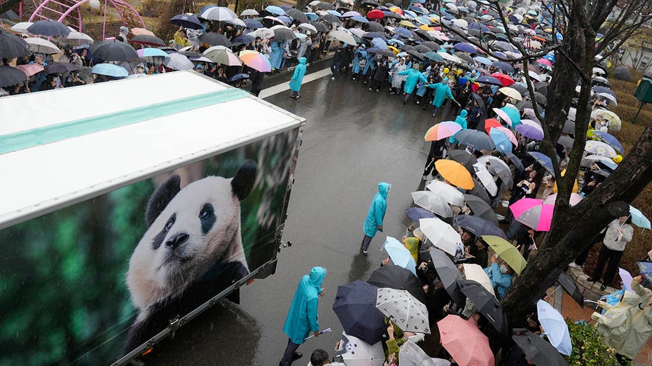 Hundreds of South Koreans gather to bid farewell to beloved panda before departure to China
