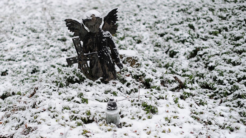 5 people, including 2 children, crushed to death after winds topple trees in Poland