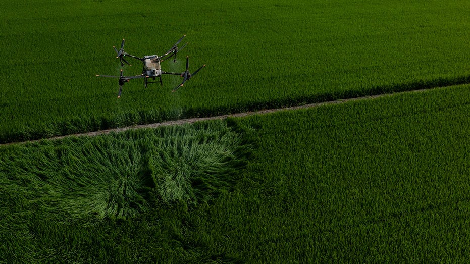 Vietnam implements new rice farming techniques in effort to mitigate methane emissions