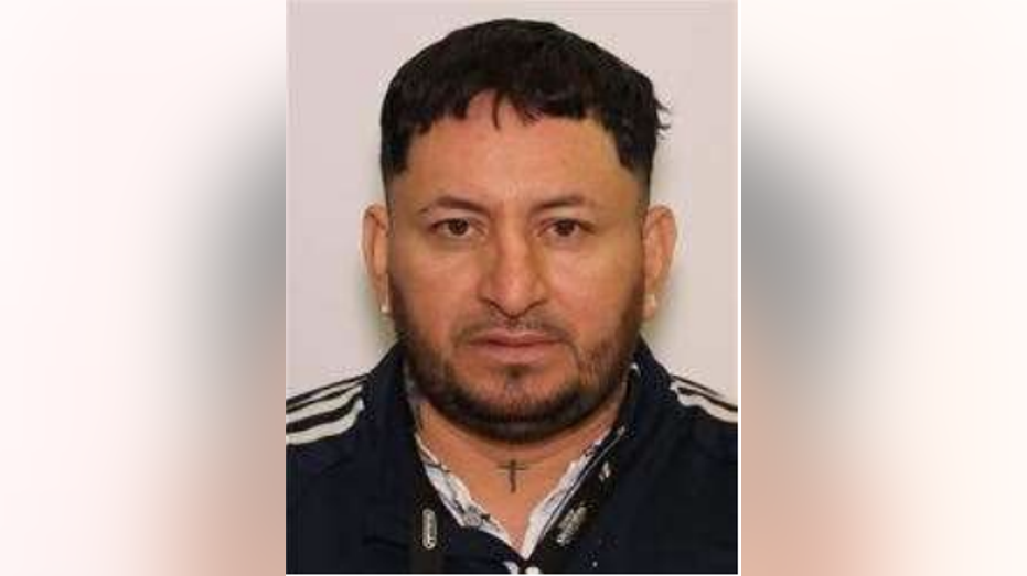 Illegal immigrant caught in deadly hit-and-run had history of armed robbery, assault and drugs