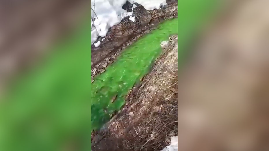 River suddenly turns bright green, residents demand tests amid toxic pollution: report