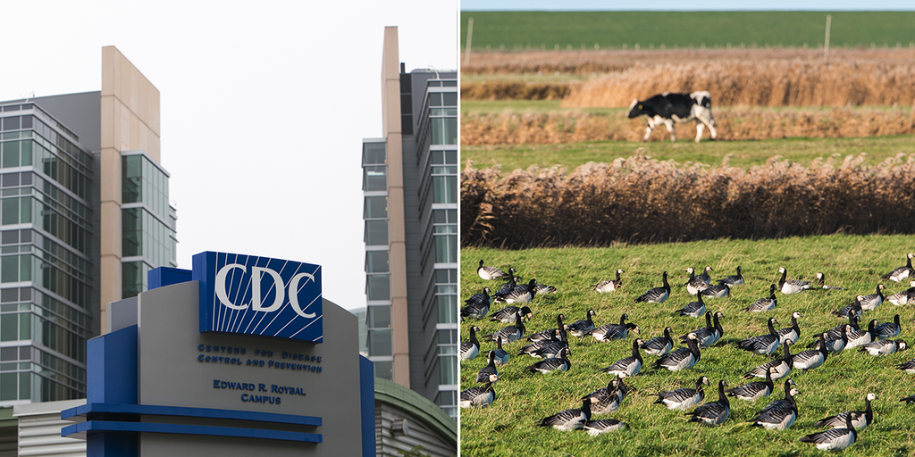 Biden admin battle with state officials in Texas, Idaho over bird flu outbreak: 'Bless their hearts' - Vimarsana News