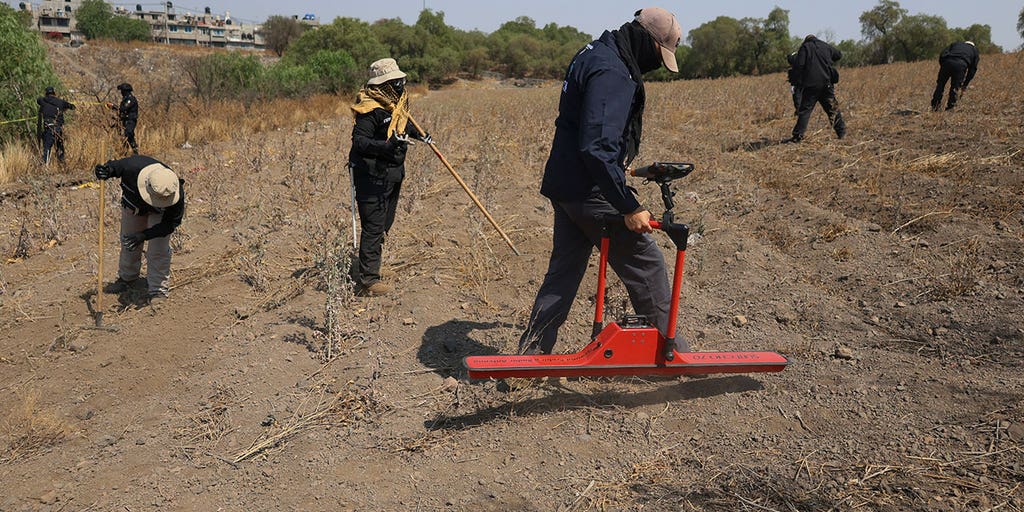 Volunteer searchers claim to have found secret crematorium in Mexico City - Vimarsana News