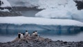 Gentoo penguins stand on rocks near the Chilean station Bernardo OHiggins, Antarctica, Jan. 22, 2015. Members of Chile&rsquo;s Defense Committee met on Thursday, May 23, 2024, in a special briefing in Antarctic to address &ldquo;the prevailing geopolitical conditions&rdquo;.
