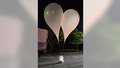 Balloons tied to trash presumably sent by North Korea are seen in South Chungcheong Province, South Korea, on May 29, 2024.
