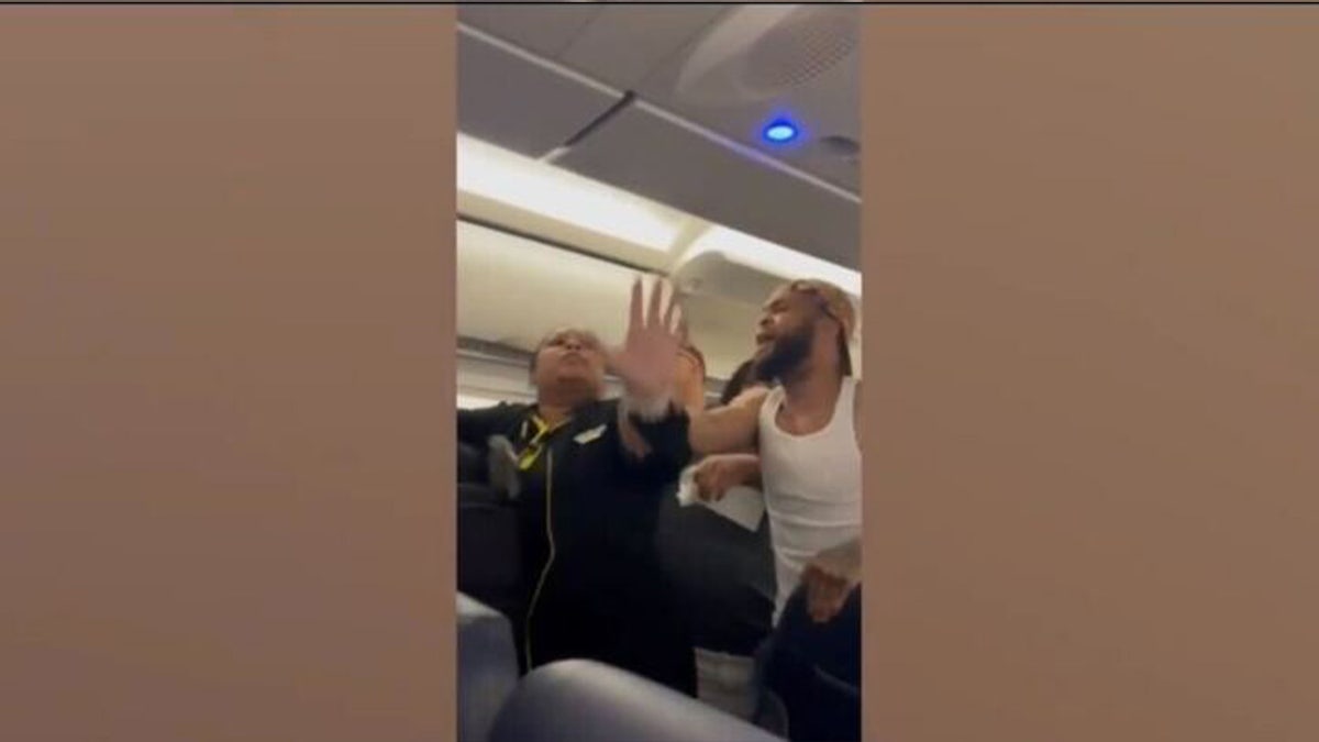 Flight attendant trying to stop the fight