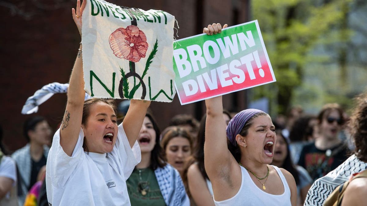 Anti-Israel protesters at Brown University