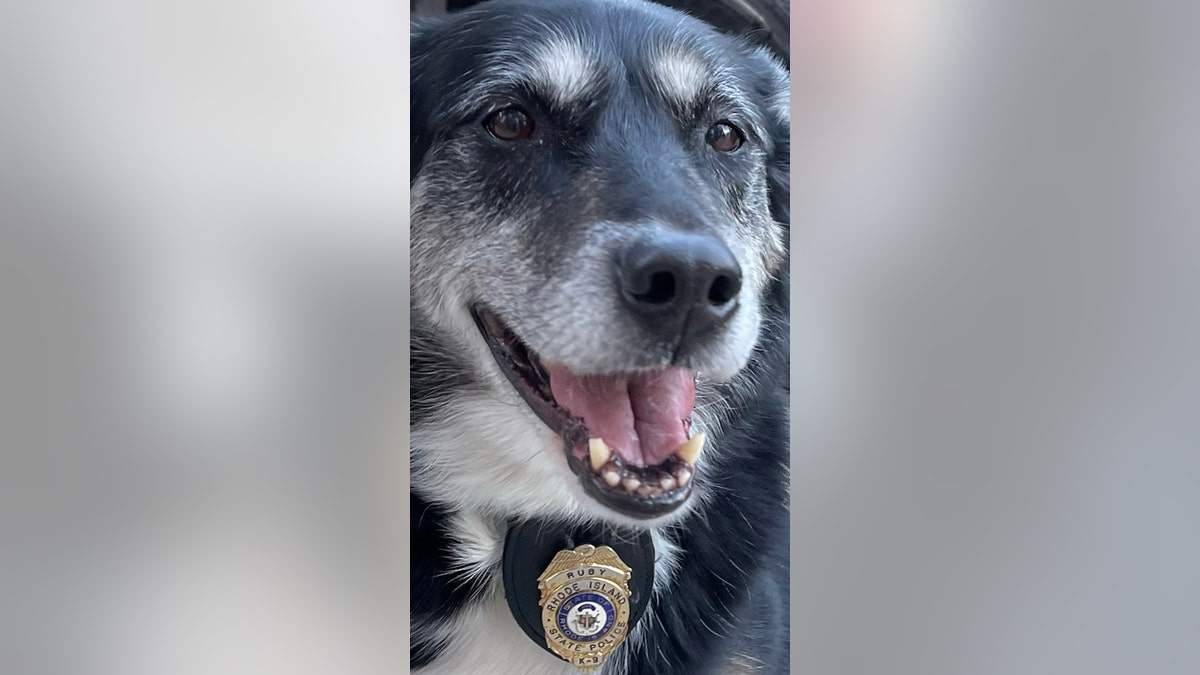 Ruby with a badge