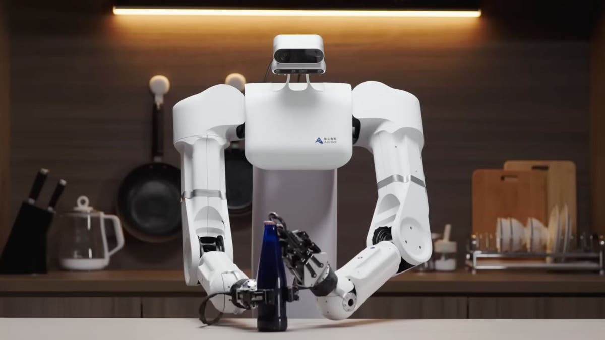 AI Robot 6
