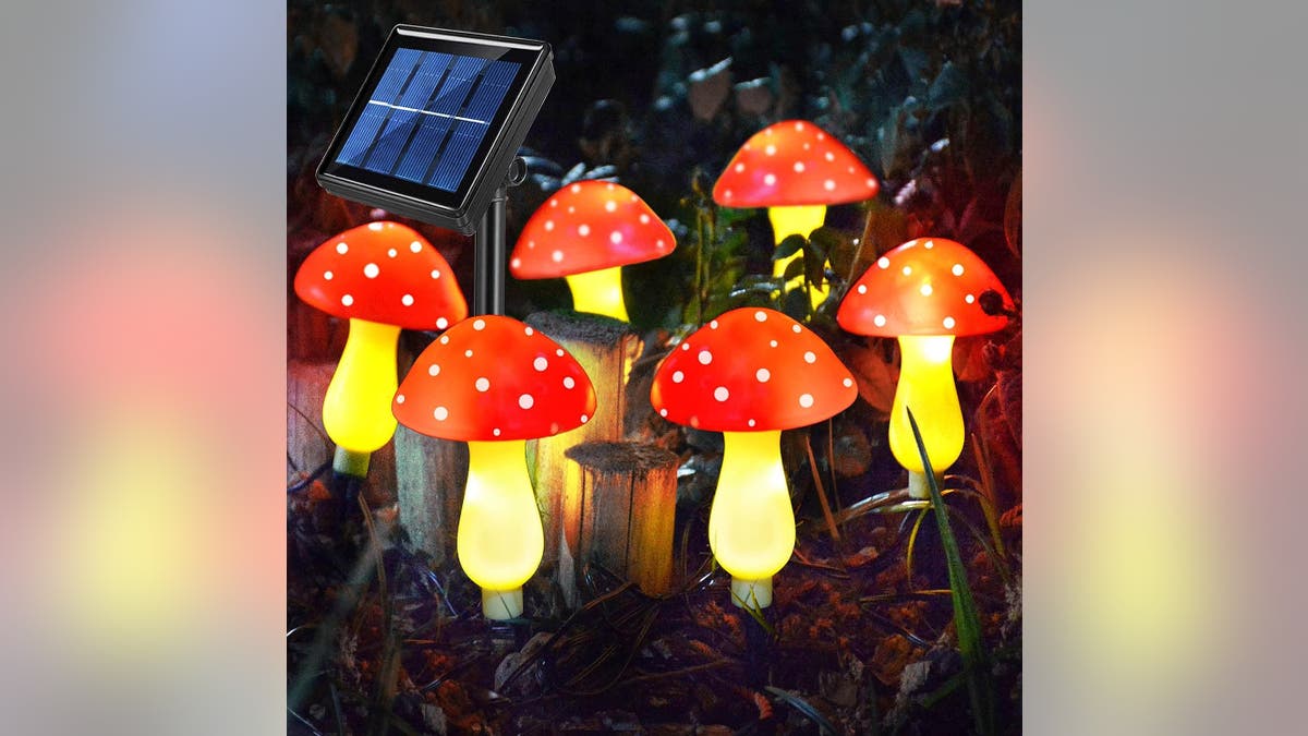 Light up your garden with solar lights. 