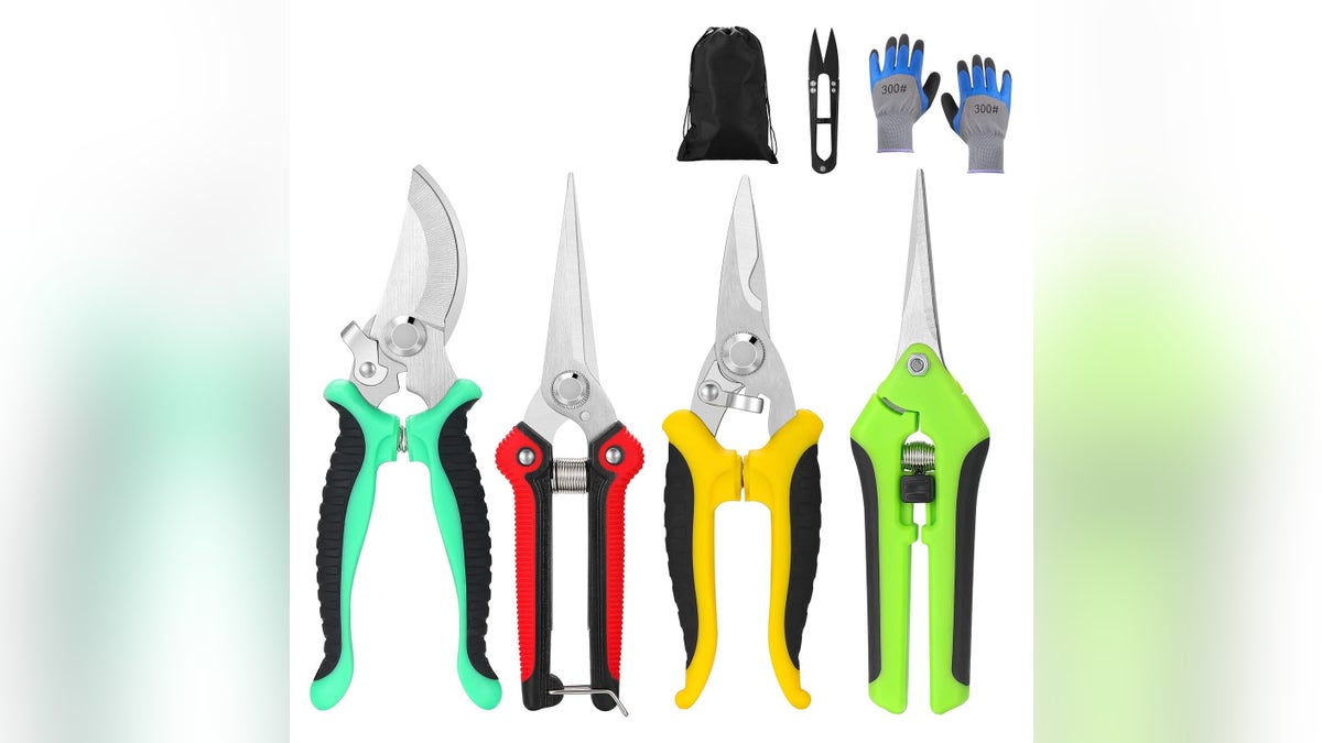 Garden shears help you care for your plants properly. 