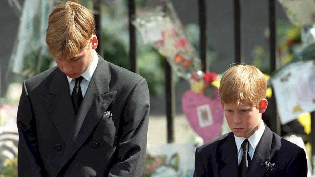 Prince William and Prince Harry looking somber