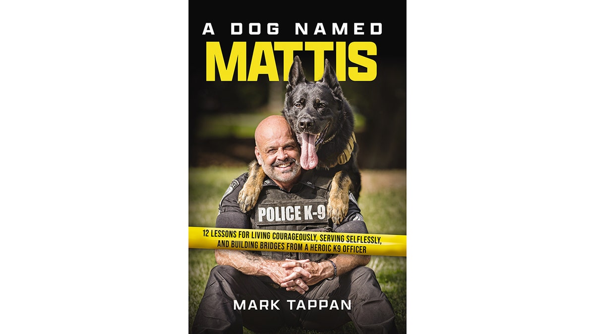 cover of 'a dog named mattis'