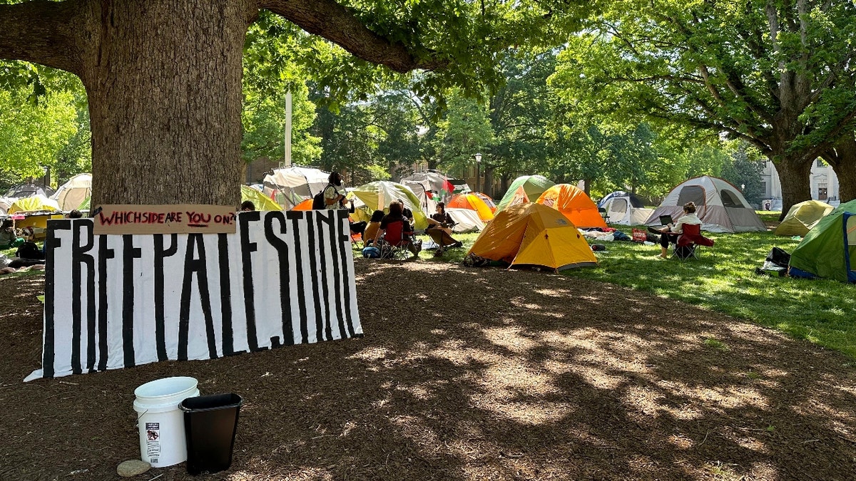 Students and other community members sit outside tents in University of North Carolina at Chapel Hill's central grounds, Polk Place, as part of an encampment protest on Monday, April 29, 2024.