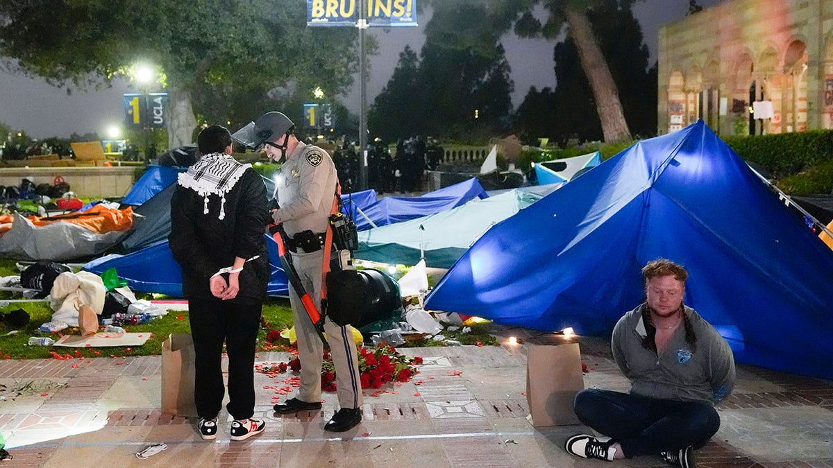 Officer takes UCLA demonstrator into custody
