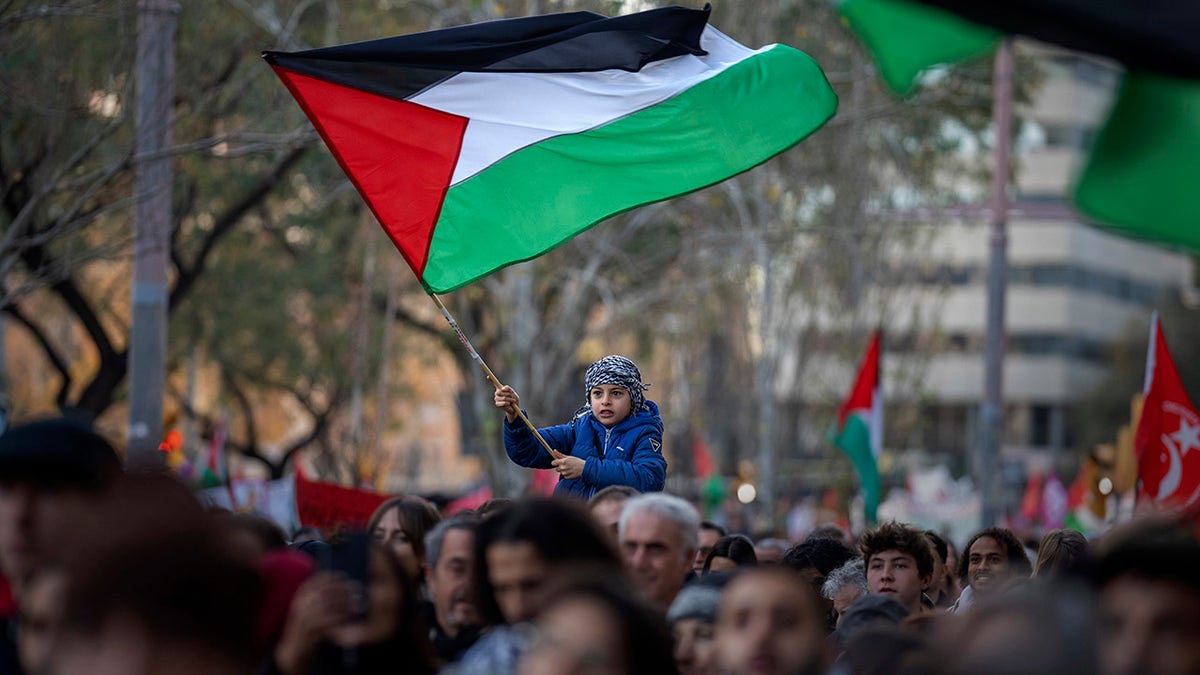 Palestine flag waved in Spain