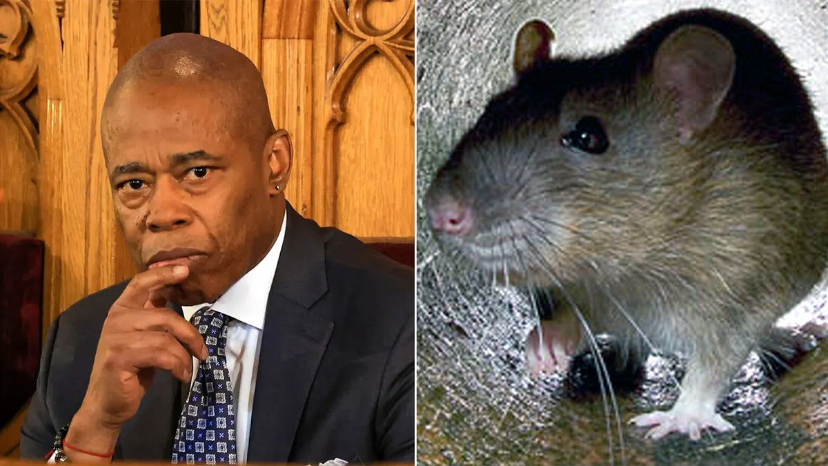 Mayor Eric Adams of New York City with a rat