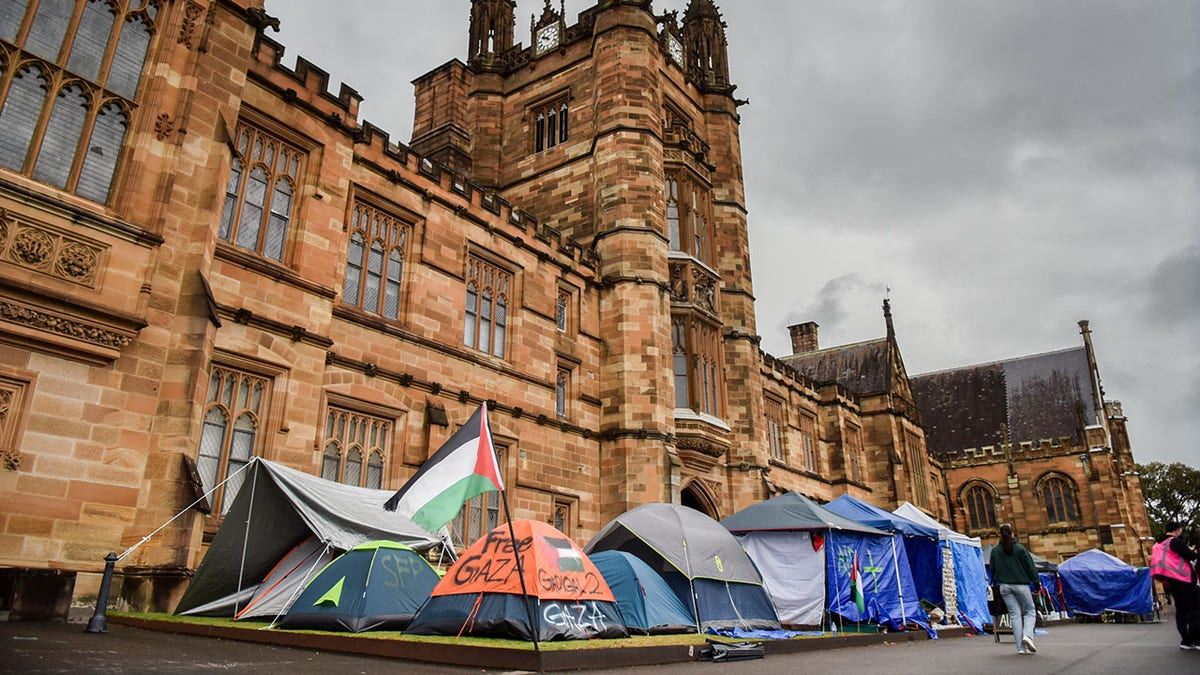 Tent encampment at University of Sydney